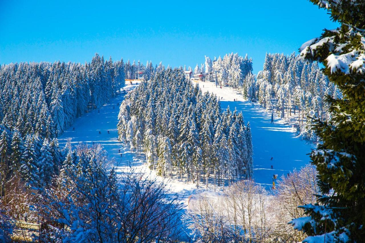 Hotel Schneider Winterberg Extérieur photo